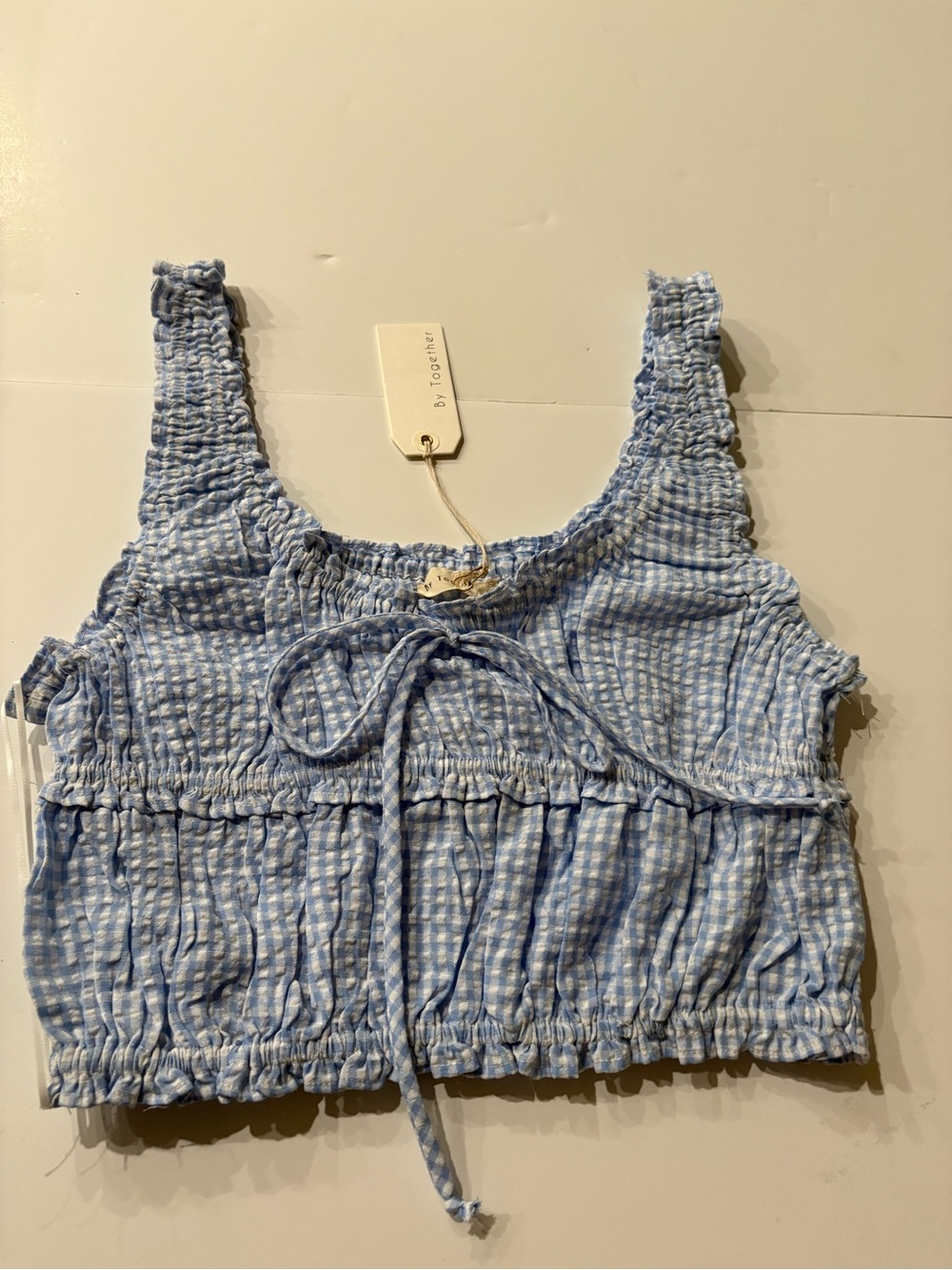 By Together Light Blue Gingham Smocked Crop Tank